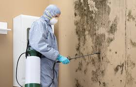 Mold Remediation for Vacation Homes in Cecil Bishop, PA